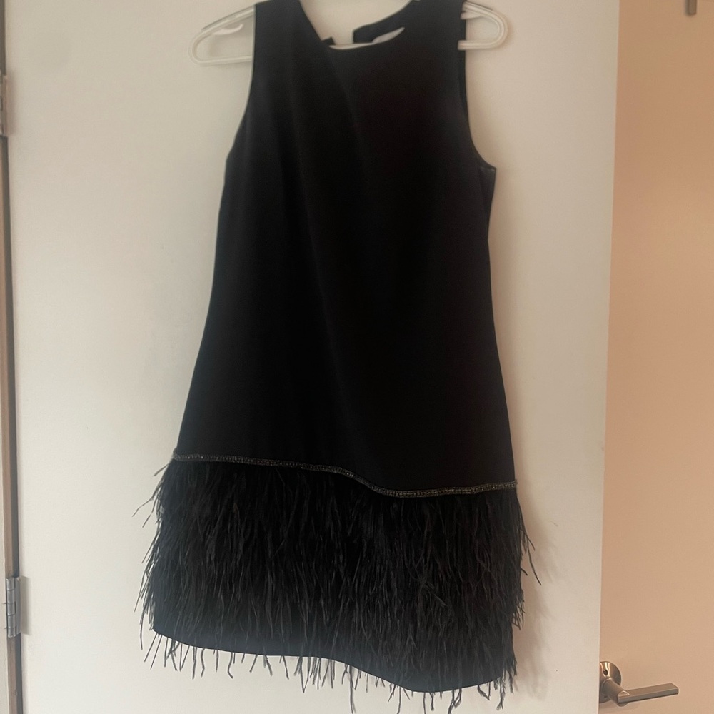 Elegant Black Feathered Dress